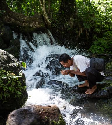 Ecosystem Services 