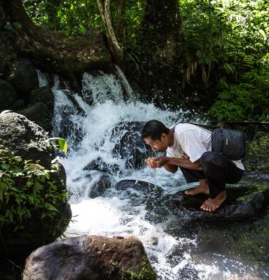 Ecosystem Services